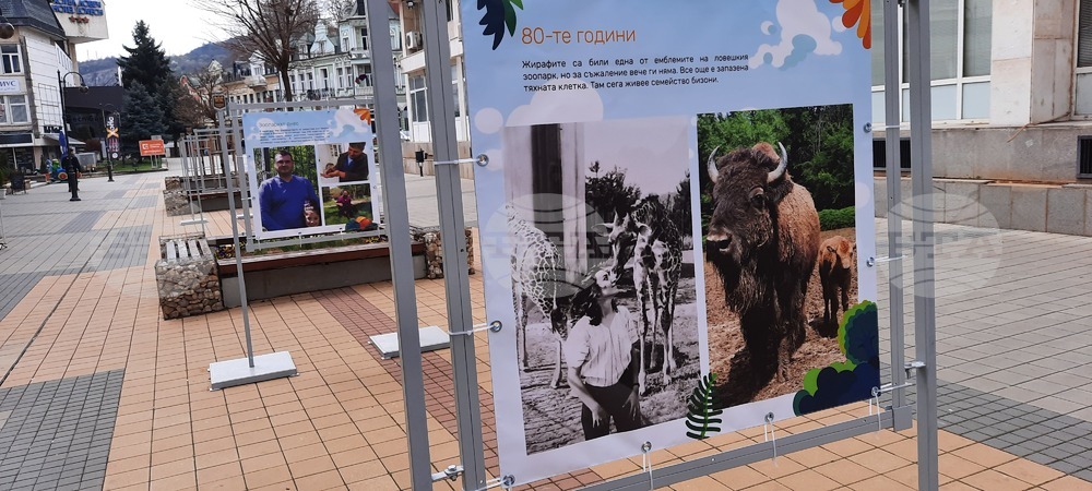 Изложба разказва за историята на зоопарка в Ловеч по повод 60 години от създаването му