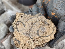 Снимка: Национален исторически музей 