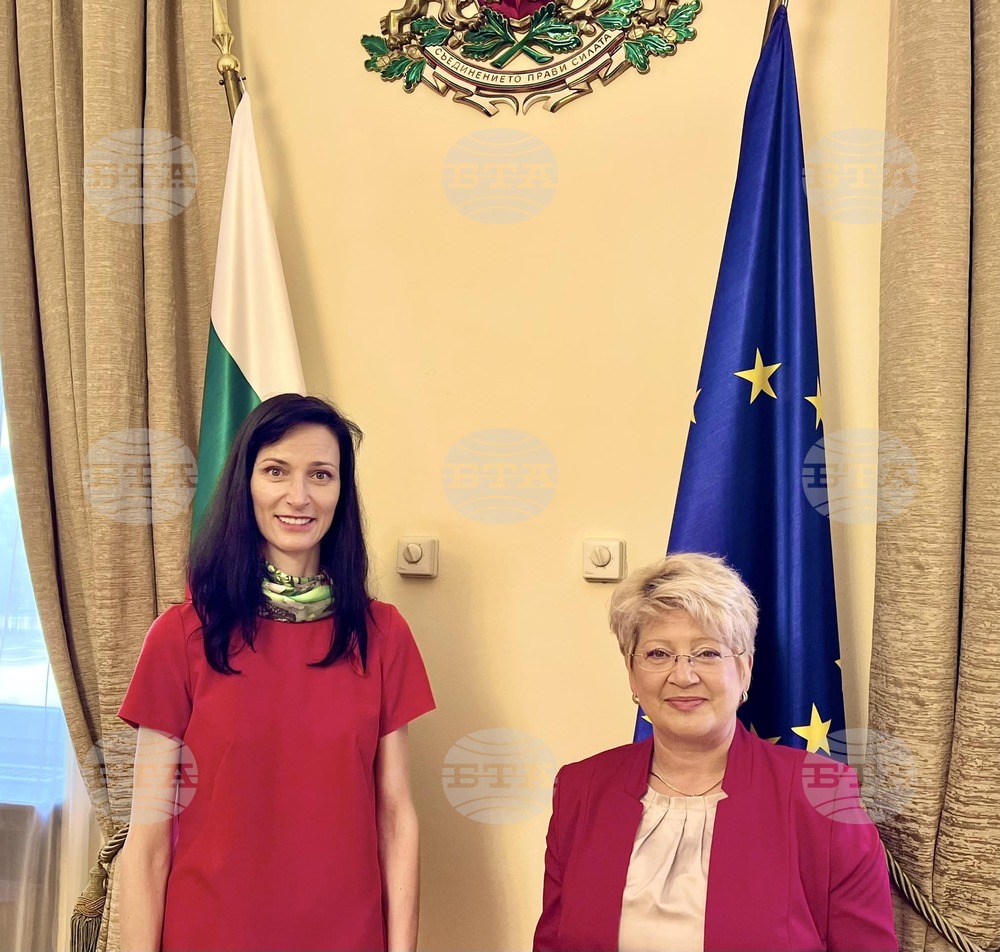 Deputy PM Gabriel, Romanian Ambassador Predescu Discuss Key Topics on National, European Agenda