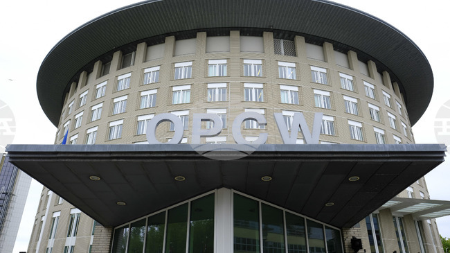 Government Designates Bulgarian Ambassador to The Netherlands as Country's OPCW Representative