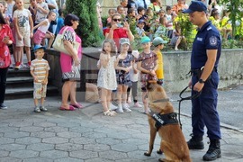 Ямбол - ОДМВР - отворени врати, снимка: Мира Безус