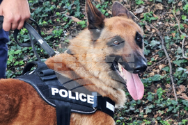 Ямбол - Областната дирекция на МВР - Ден на отворени врати