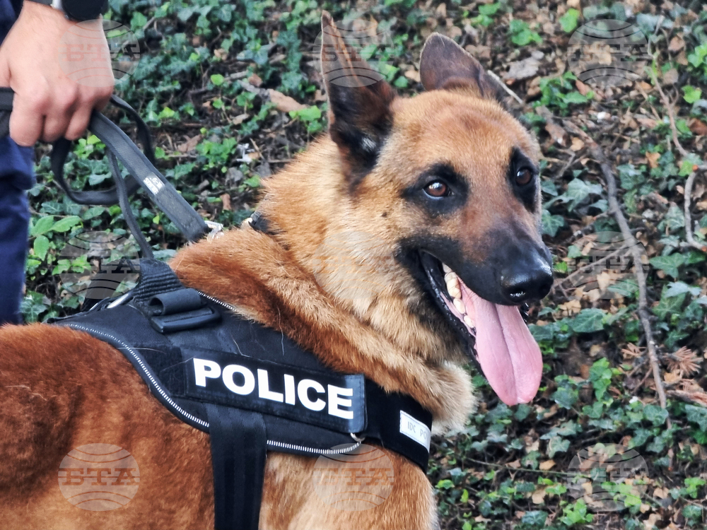 Ямбол - Областната дирекция на МВР - Ден на отворени врати