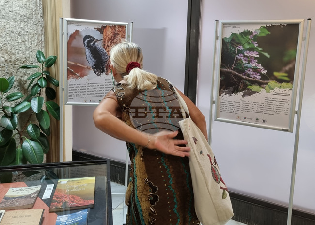 Варна - библиотека - изложба