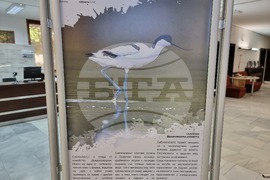 Варна - библиотека - изложба