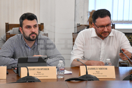 Парламент - Комисия по външна политика