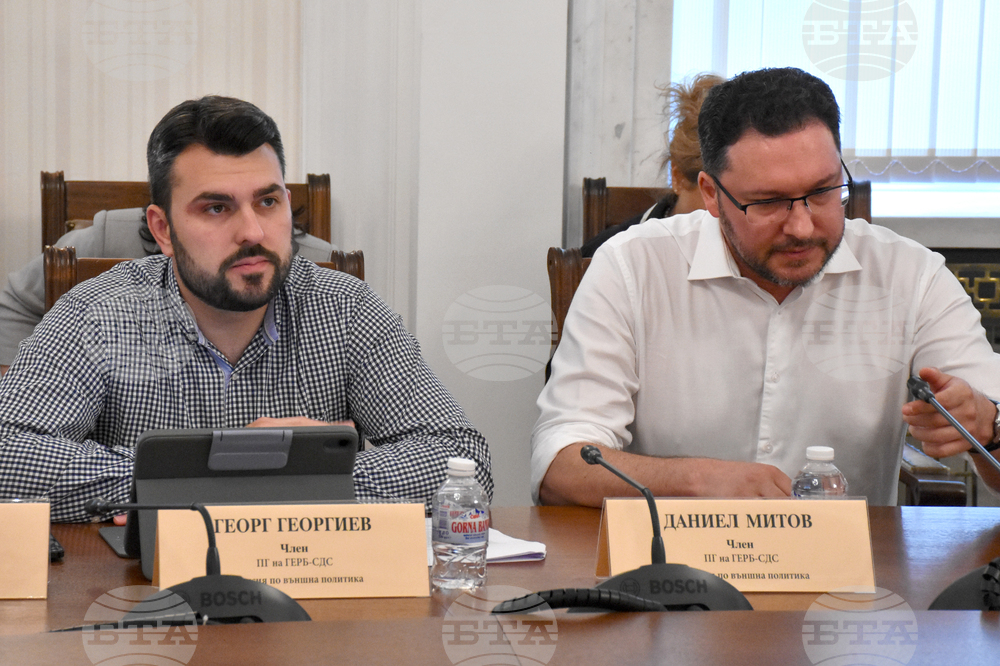 Парламент - Комисия по външна политика