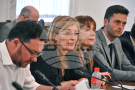 Парламент - Комисия по външна политика