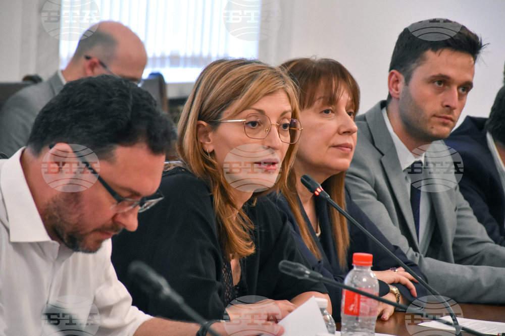 Парламент - Комисия по външна политика