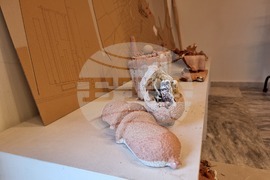 Гърция - Елефсина - Творци пречистват морето край Атина със „съвременна елевсинска мистерия“