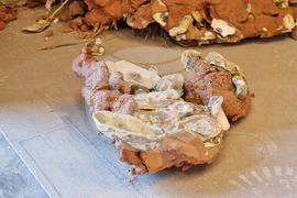 Гърция - Елефсина - Творци пречистват морето край Атина със „съвременна елевсинска мистерия“