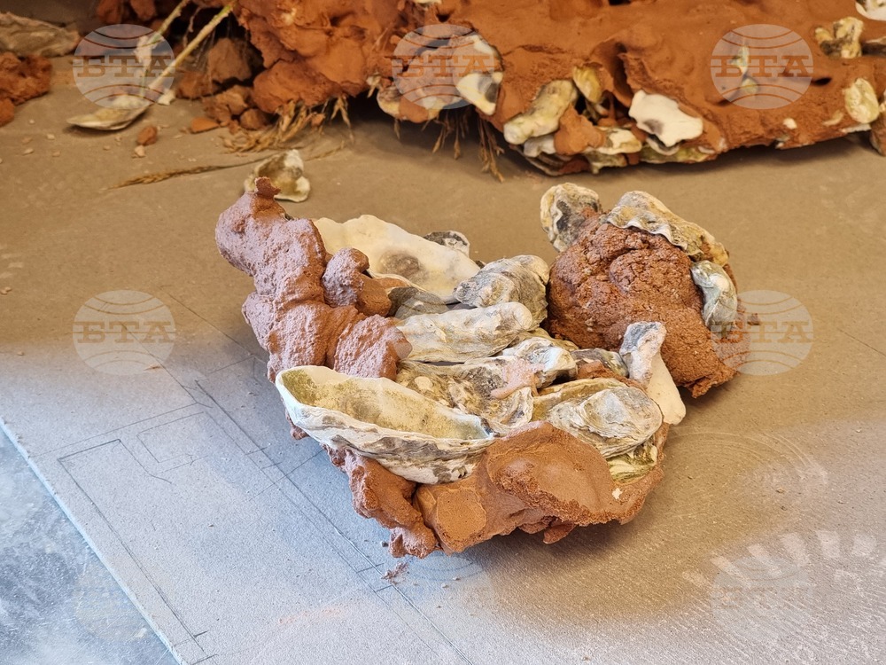 Гърция - Елефсина - Творци пречистват морето край Атина със „съвременна елевсинска мистерия“