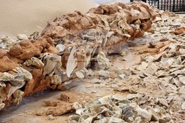 Гърция - Елефсина - Творци пречистват морето край Атина със „съвременна елевсинска мистерия“