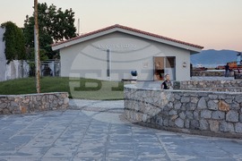 Гърция - Елефсина - Творци пречистват морето край Атина със „съвременна елевсинска мистерия“