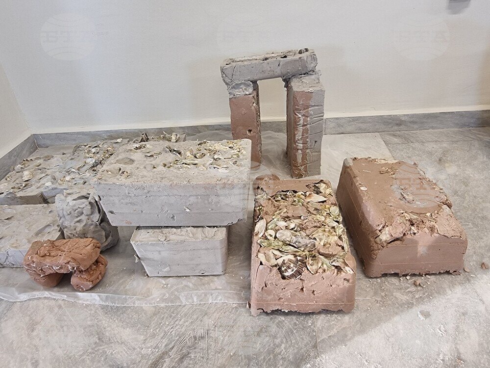 Гърция - Елефсина - Творци пречистват морето край Атина със „съвременна елевсинска мистерия“