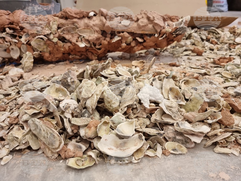 Гърция - Елефсина - Творци пречистват морето край Атина със „съвременна елевсинска мистерия“