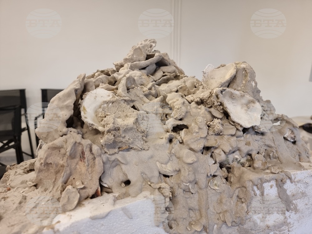 Гърция - Елефсина - Творци пречистват морето край Атина със „съвременна елевсинска мистерия“