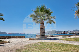 Гърция - Елефсина - изглед