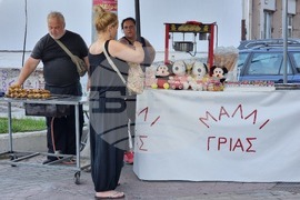 Гърция - Елефсина - изглед