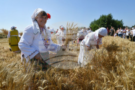 Исперих - ритуал "Зажънване"