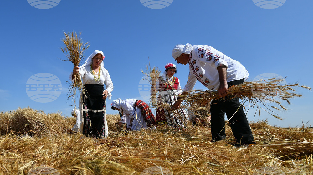 Исперих - ритуал "Зажънване"