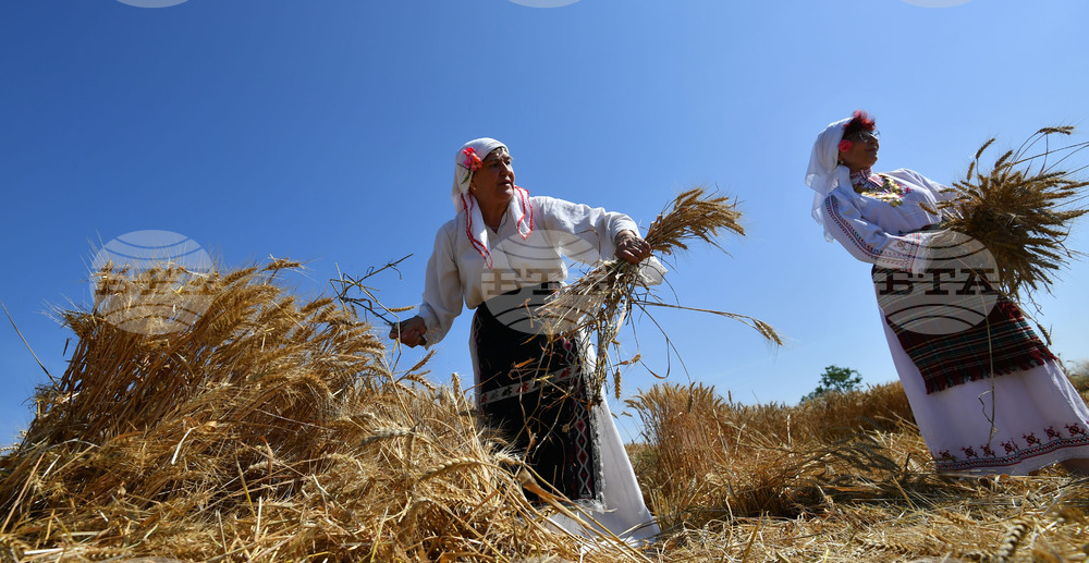 Исперих - ритуал "Зажънване"