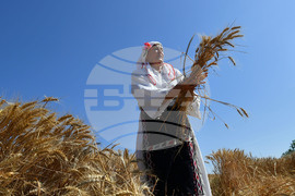 Исперих - ритуал "Зажънване"