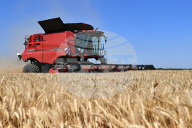 Исперих - ритуал "Зажънване"