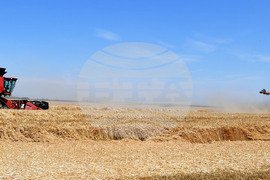 Исперих - ритуал "Зажънване"