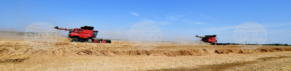 Исперих - ритуал "Зажънване"