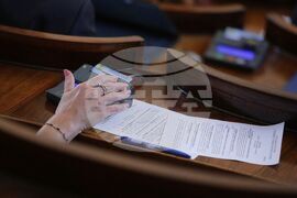 Парламент - заседание