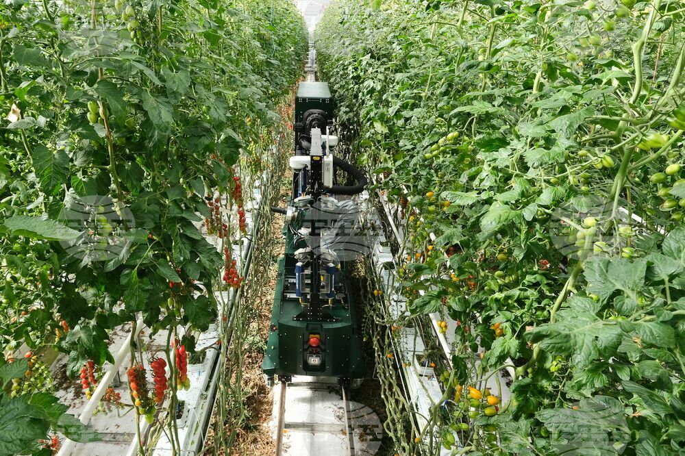 Number of Installed Industrial Robots in Bulgaria Expected to Rise 5% in 2023 Y/Y - Expert