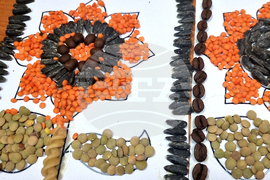 Враца -  библиотека - „Книжно лято"