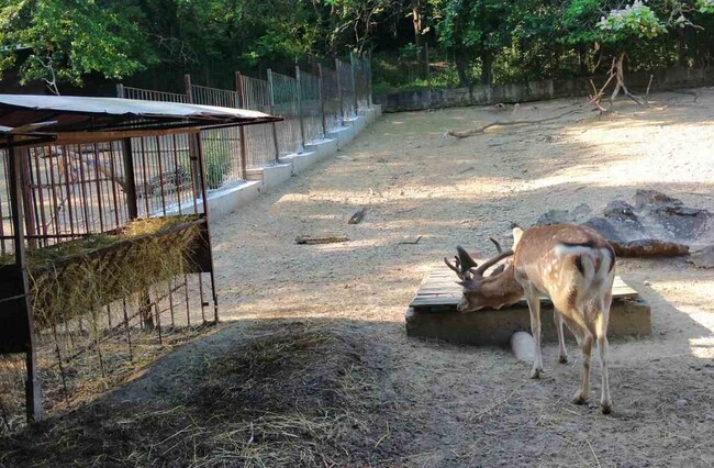 Община Ловеч: Не спират ремонтите в Зоопарк Ловеч