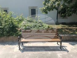 Снимка: Община Плевен