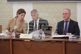 Парламент - Комисия по енергетика - Румен Радев