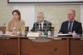 Парламент - Комисия по енергетика - Румен Радев