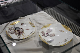 Национален военноисторически музей - нова колекционна зала