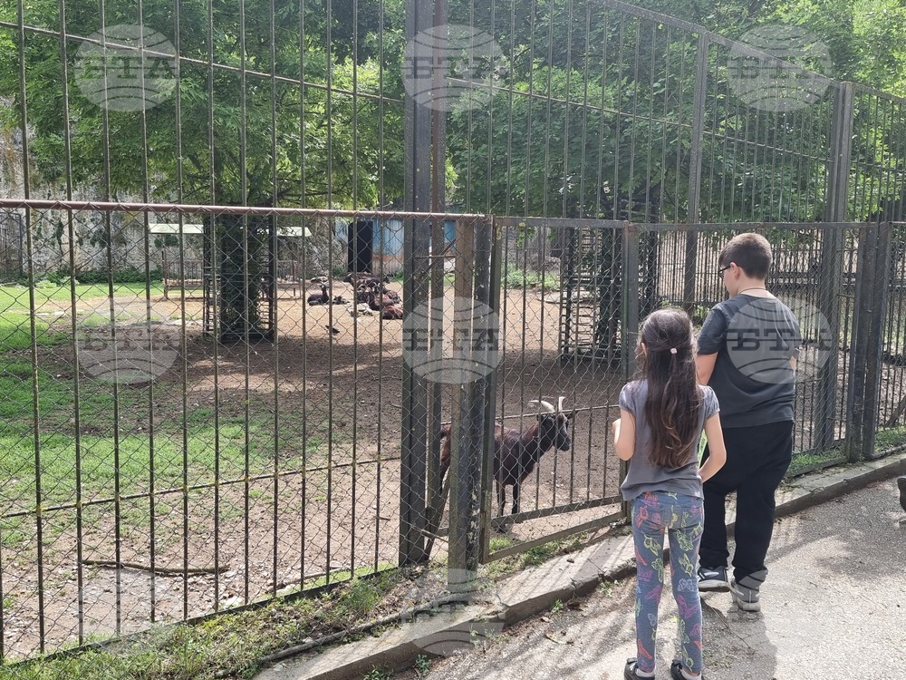 Плевен - парк „Кайлъка" - зоопарк