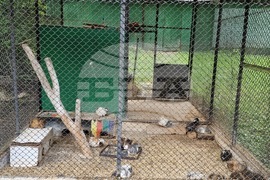 Плевен - парк „Кайлъка" - зоопарк