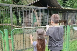 Плевен - парк „Кайлъка" - зоопарк