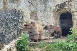 Плевен - парк „Кайлъка" - зоопарк