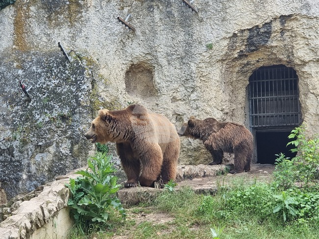 Плевен - парк „Кайлъка" - зоопарк 