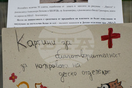 Благоевград - благотворителна изложба