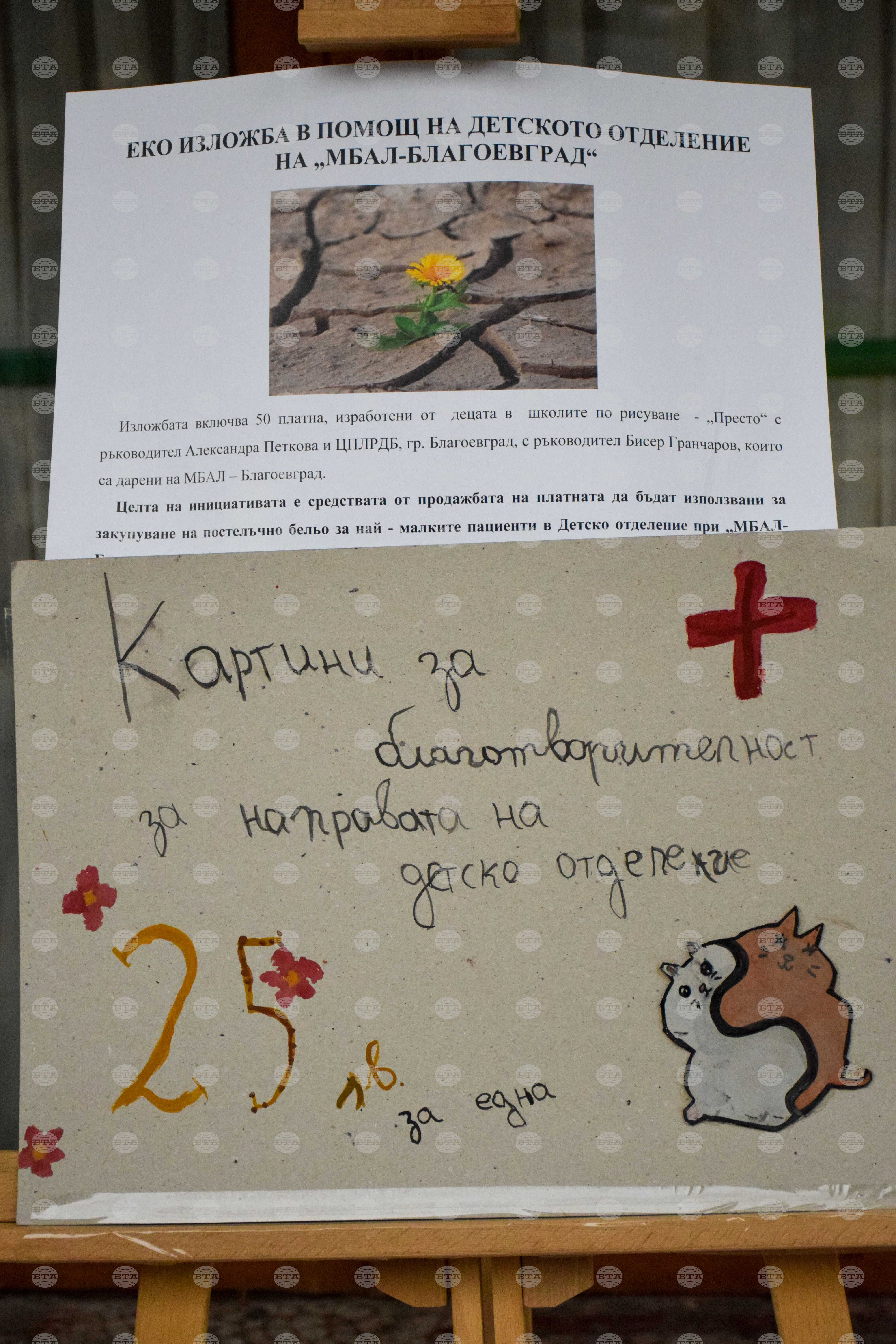 Благоевград - благотворителна изложба