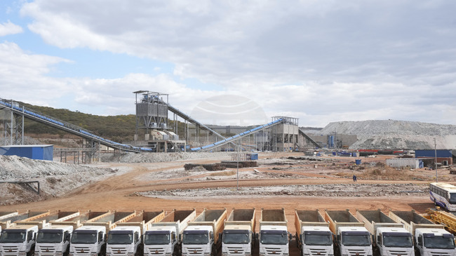 Зимбабве налага незабавна забрана върху износа на суровини и литий