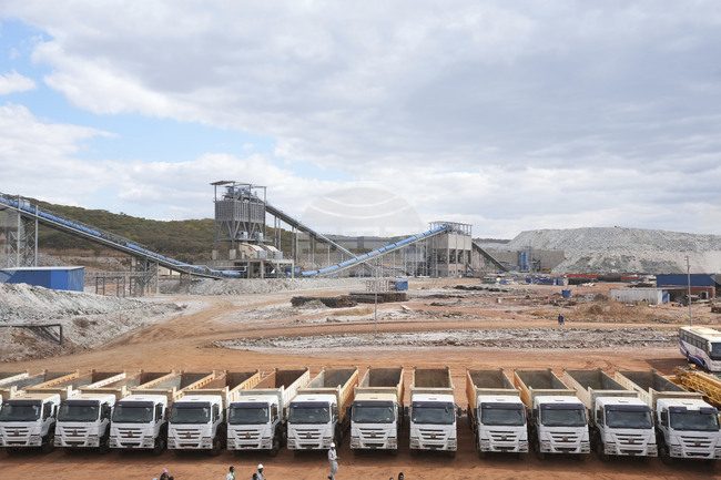 Зимбабве налага незабавна забрана върху износа на суровини и литий