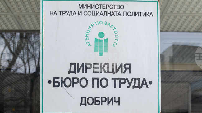 Свободни работни позиции за адвокат, психолог, системен администратор и други специалисти са обявени от Дирекция „Бюро по труда“ в Добрич