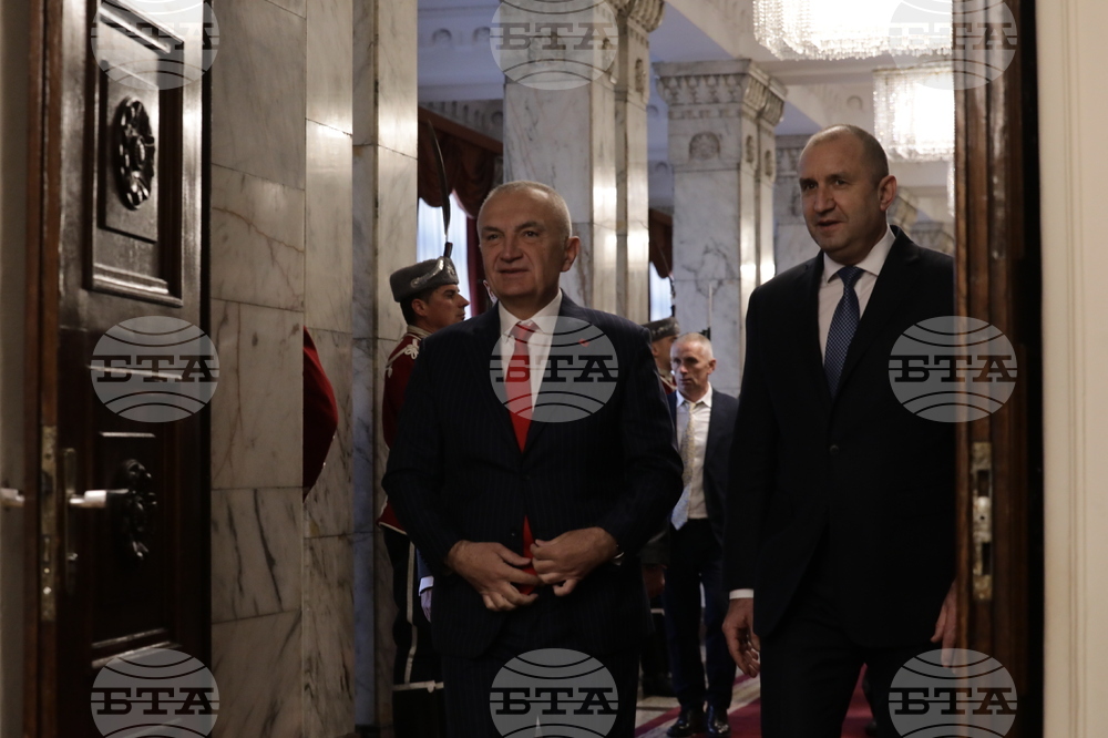 Румен Радев - Илир Мета - среща