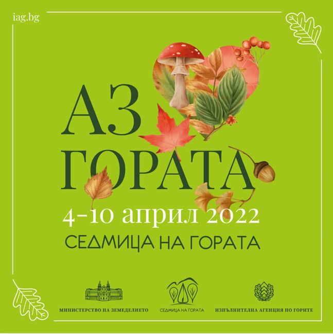 Празник за децата по случай Седмица на гората в Борисовата градина
